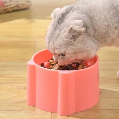 Gamelle anti glouton chat | FeliFeed - Chicetchat