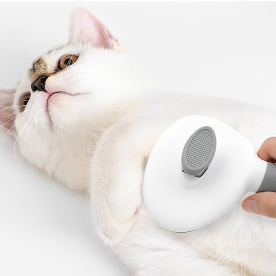 Brosse chat | CalmiCat - Monminouchat