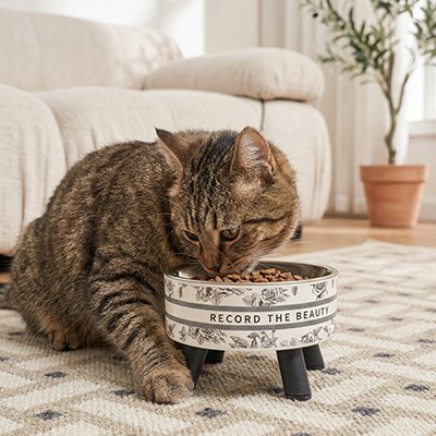 Gamelle Chat surélevée