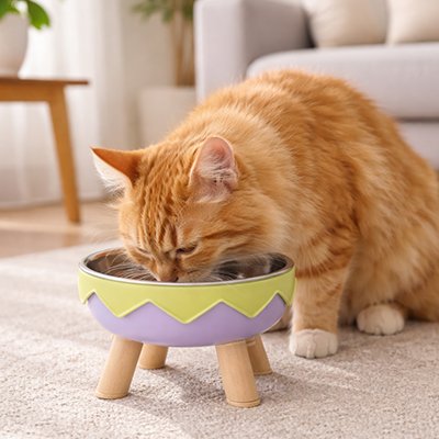 Gamelle chat surélevée