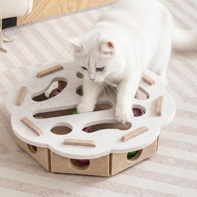 Jouet pour chat