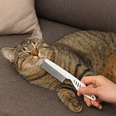 Peigne chat | Petit Ronron - Monminouchat