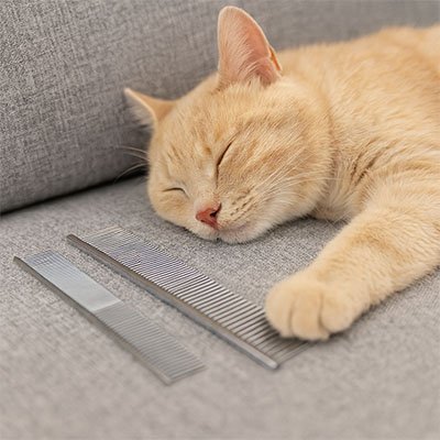 Peigne pour chat | Anti - Poils Minou - Monminouchat