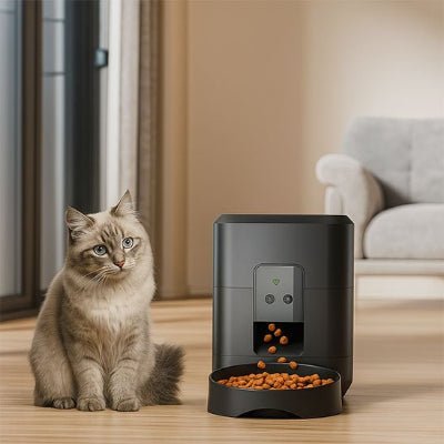 Est-ce qu'un distributeur de croquettes pour chat est une bonne idée ? - Monminouchat