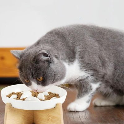 Gamelle Anti Glouton Chat | Felino - Chicetchat