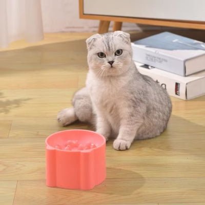 Gamelle anti glouton chat | FeliFeed - Chicetchat