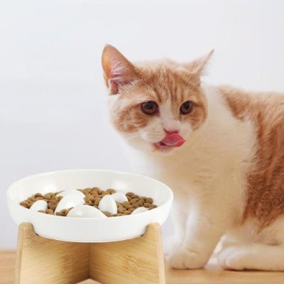 Gamelle Anti Glouton Chat | Felino - Chicetchat