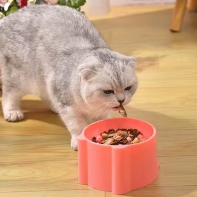 Gamelle anti glouton chat | FeliFeed - Chicetchat