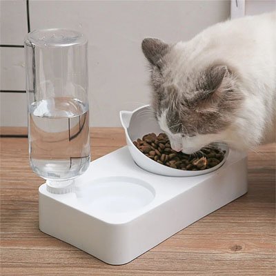 Gamelle Chat | Élégante - Chicetchat