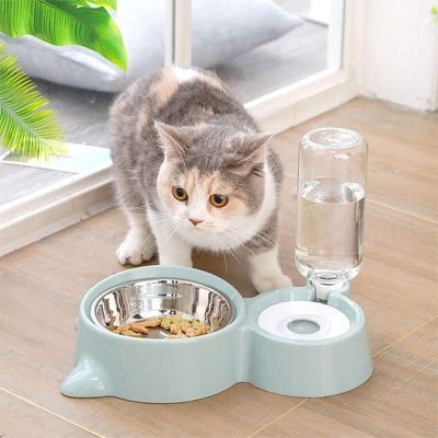 Gamelle Chat | Ergonomique Design - Chicetchat