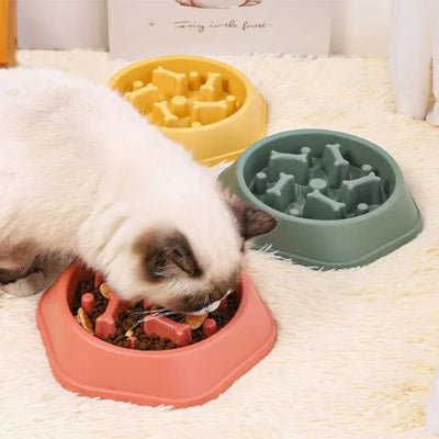 Gamelle anti glouton chat | SlowEat - Chicetchat
