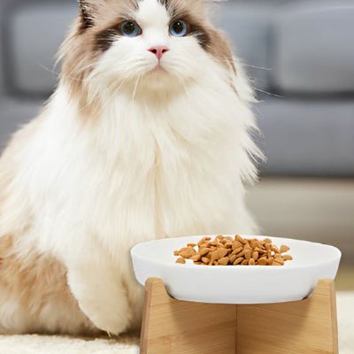 Gamelle Anti Glouton Chat | Felino - Chicetchat