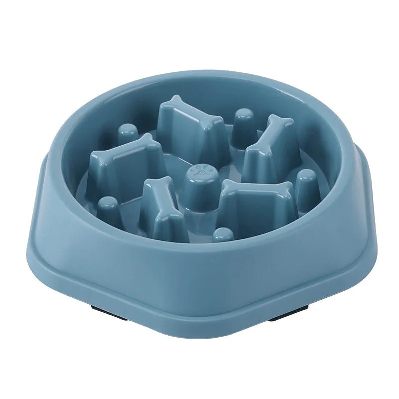 Gamelle anti glouton chat | Petit Miam - Chicetchat