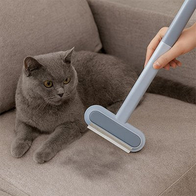 Brosse anti poil | Piloria - Chicetchat