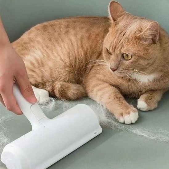 Brosse anti poil | Silkara - Monminouchat