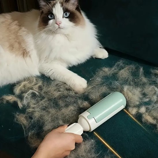 Brosse anti poil | Nuvia - Chicetchat