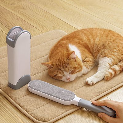 Brosse anti poil | Anipo - Chicetchat