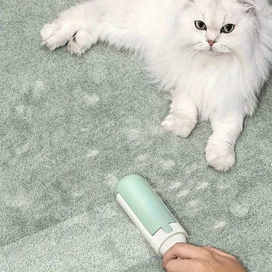 Brosse anti poil | Nuvia - Chicetchat