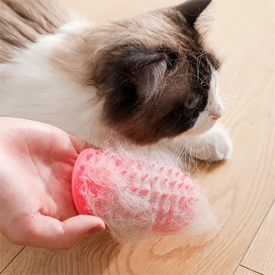 Brosse chat | UltraShed - Monminouchat