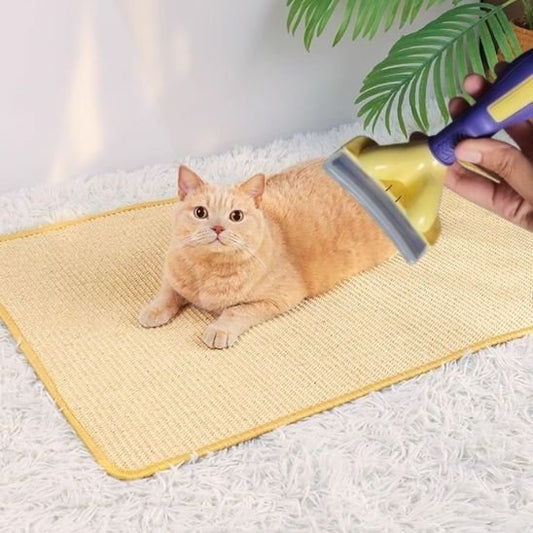Brosse Chat Anti - poils | ElimiPoils - Chicetchat