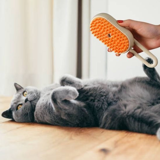 Brosse chat | Lifur - Chicetchat