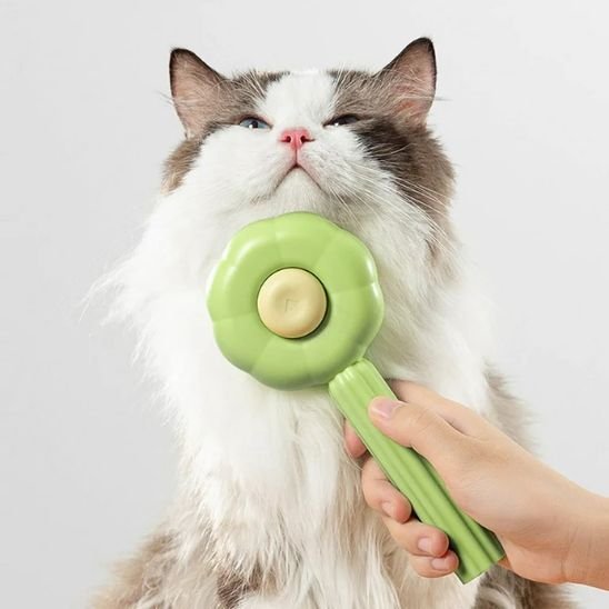 Brosse chat | Auto - nettoyante - Chicetchat