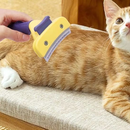 Brosse Chat Anti - poils | ElimiPoils - Chicetchat