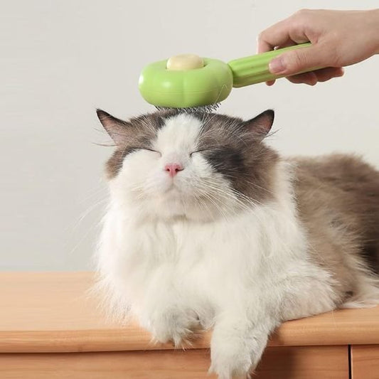 Brosse chat | Auto - nettoyante - Chicetchat