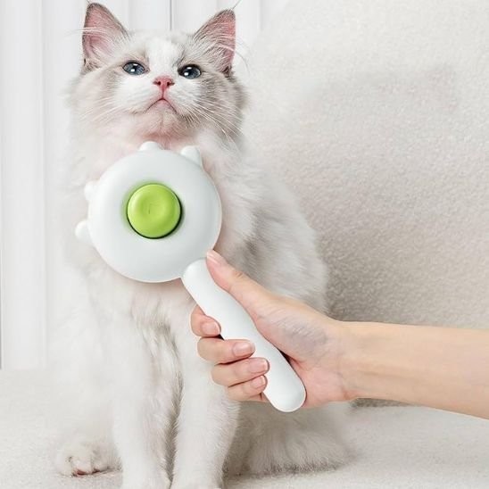 Brosse chat | Auto - nettoyante - Chicetchat