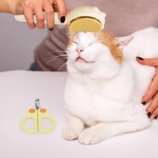 Brosse chat | Auto - nettoyante - Chicetchat