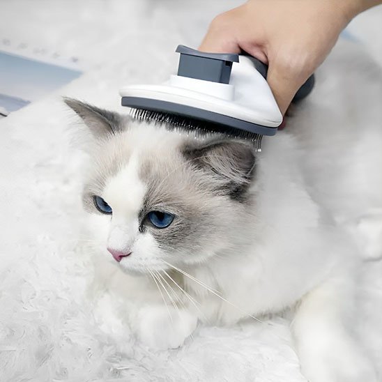 Brosse chat | CalmiCat - Monminouchat