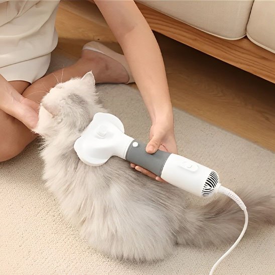 Brosse chat | Cattéa - Monminouchat