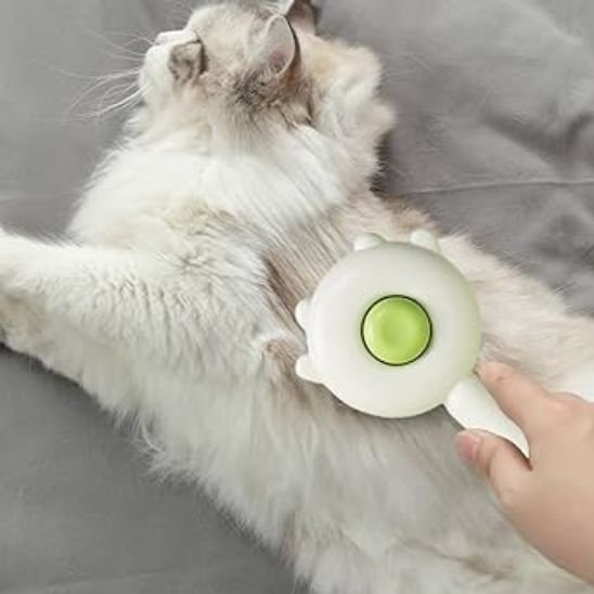 Brosse chat | Auto - nettoyante - Chicetchat