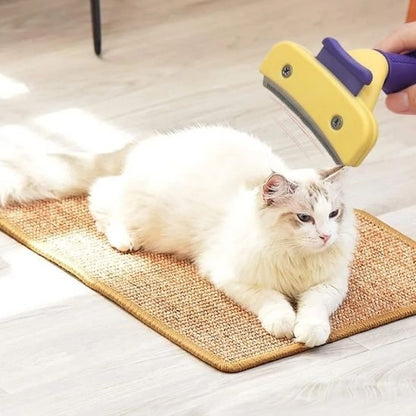 Brosse Chat Anti - poils | ElimiPoils - Chicetchat