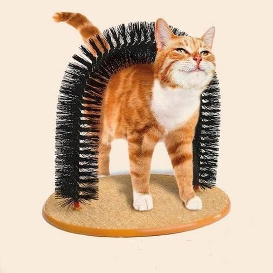 Brosse Chat | Petoria - Chicetchat