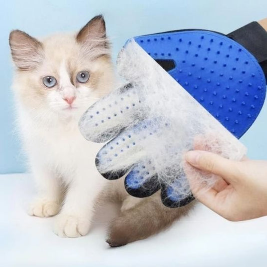Brosse chat | DoucePatte - Chicetchat
