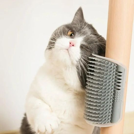 Brosse chat | Lynex - Monminouchat