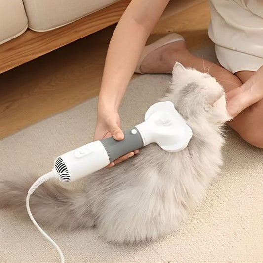 Brosse chat | Cattéa - Monminouchat