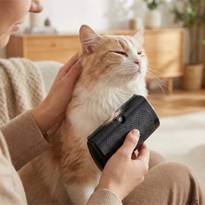 Brosse poil chat | AntiShed - Chicetchat