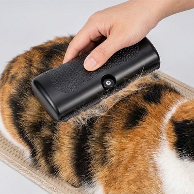 Brosse poil chat | AntiShed - Chicetchat