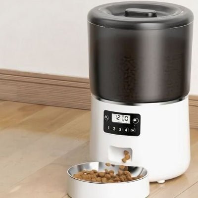 Distributeur automatique croquettes chat | ProgramCat - Chicetchat