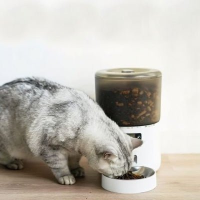 Distributeur automatique croquettes chat | ProgramCat - Chicetchat