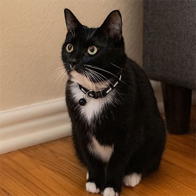 Collier Chat | Motif poisson - Collier réglable, doux et élégant - Monminouchat
