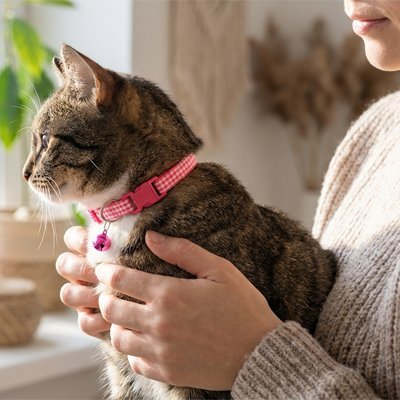 Collier Chat | Tissu ajustable - Monminouchat
