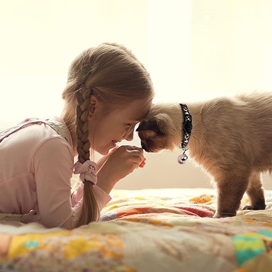 Collier chat