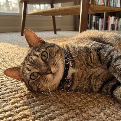 Collier Chat | Accessoire avec médaille tendance et confortable - Monminouchat