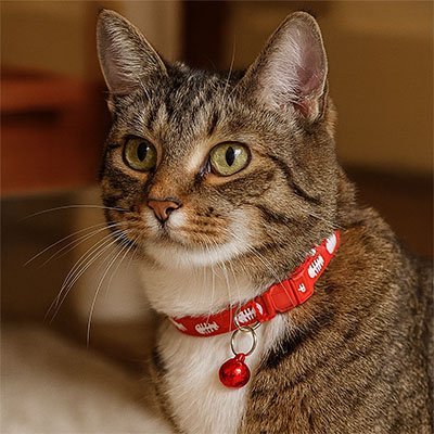 Collier Chat | Motif poisson - Collier réglable, doux et élégant - Monminouchat