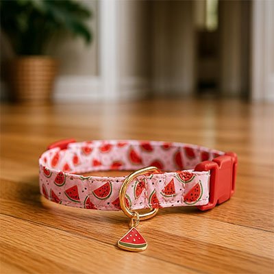 Collier pour Chat | Élégant et Sécurisé - Monminouchat