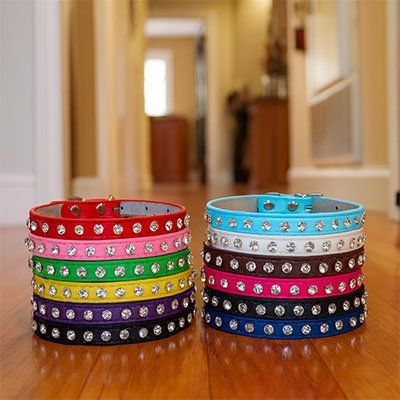 Collier pour Chat | Élégant et Ajustable - Monminouchat