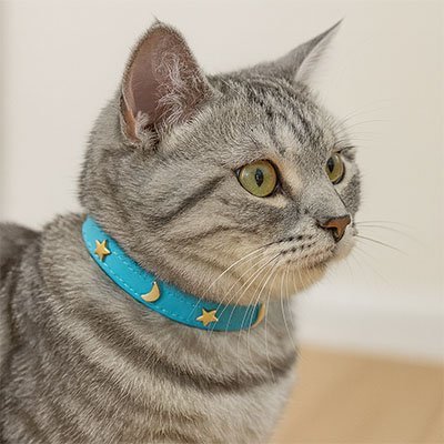 Collier pour Chat | Étoiles et lunes un accessoire élégant, sécurisé et confortable - Monminouchat